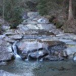 IMG_4961