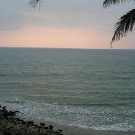 IMG_5482 (Medium)